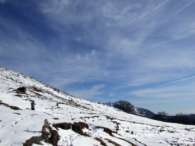 Versante laziale del Parco Nazionale d''Abruzzo